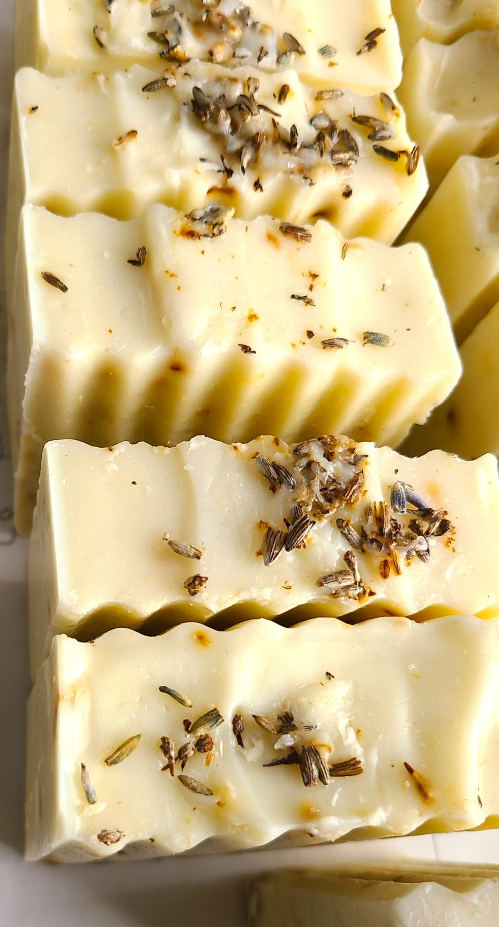 Lemon Oat | Cold Processed Soap Bar