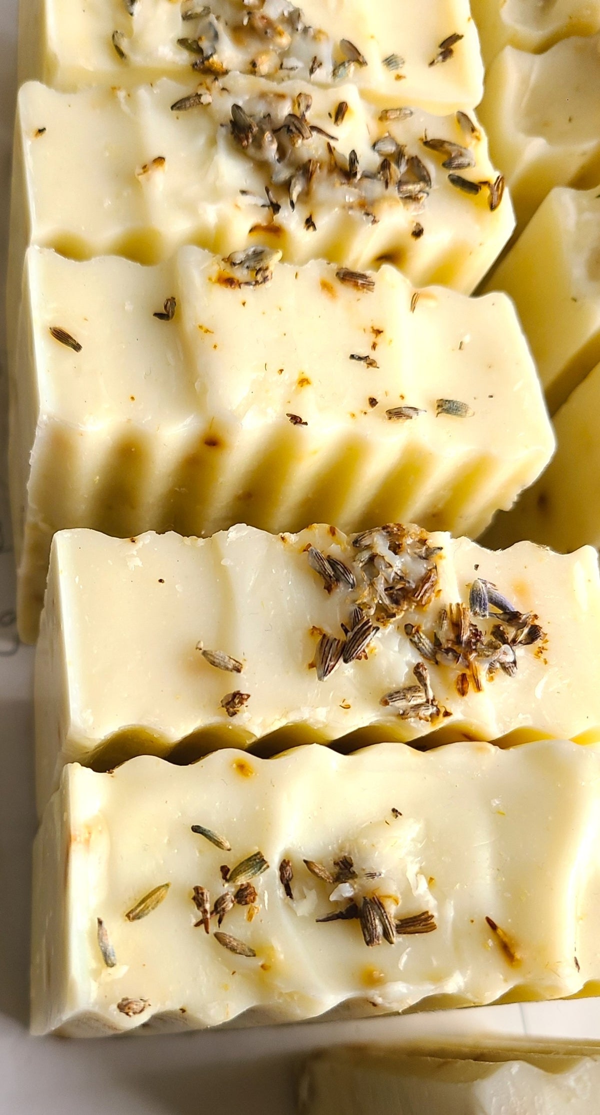 Lemon Oat | Cold Processed Soap Bar